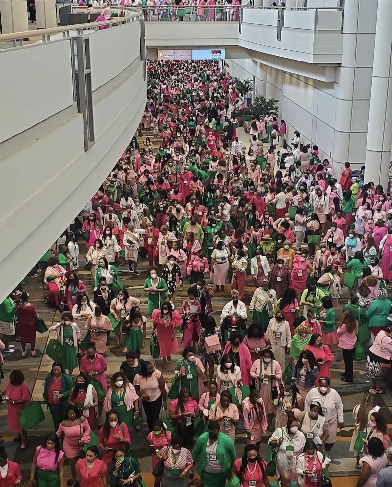 70th Annual AKA Boule Crowd