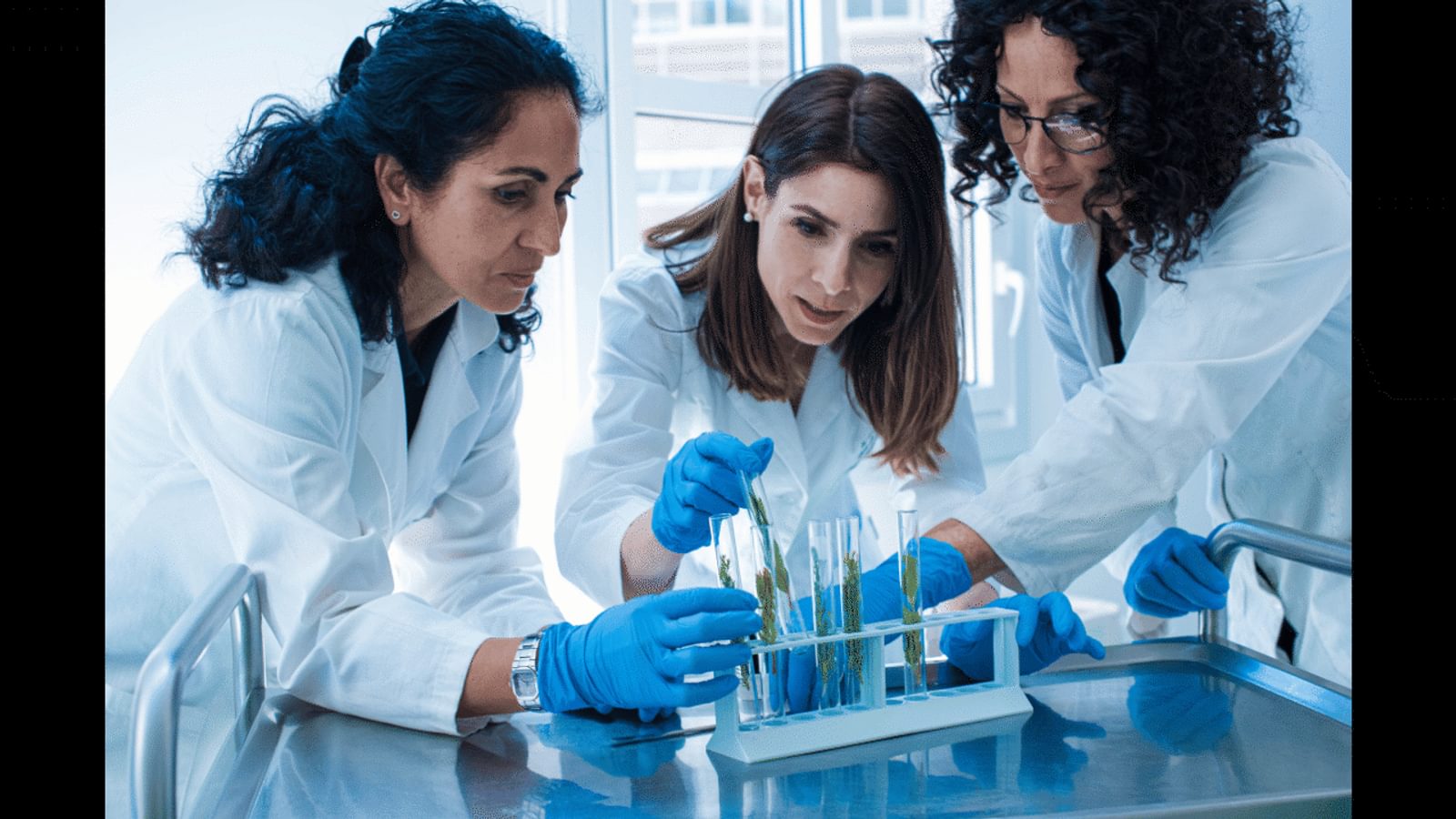 STEM womenchemists