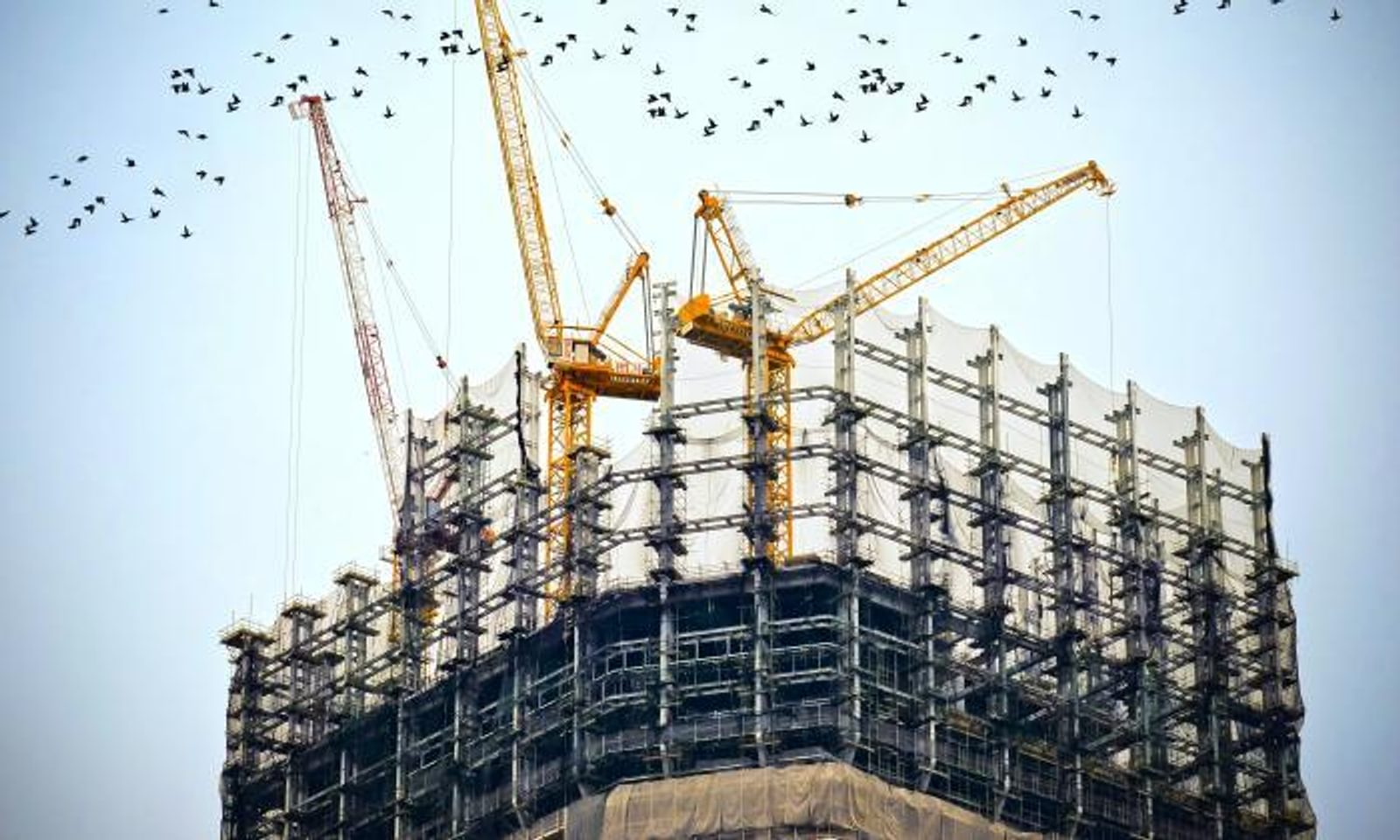 Cranes on the top of a high rise being built with flock of birds flying by