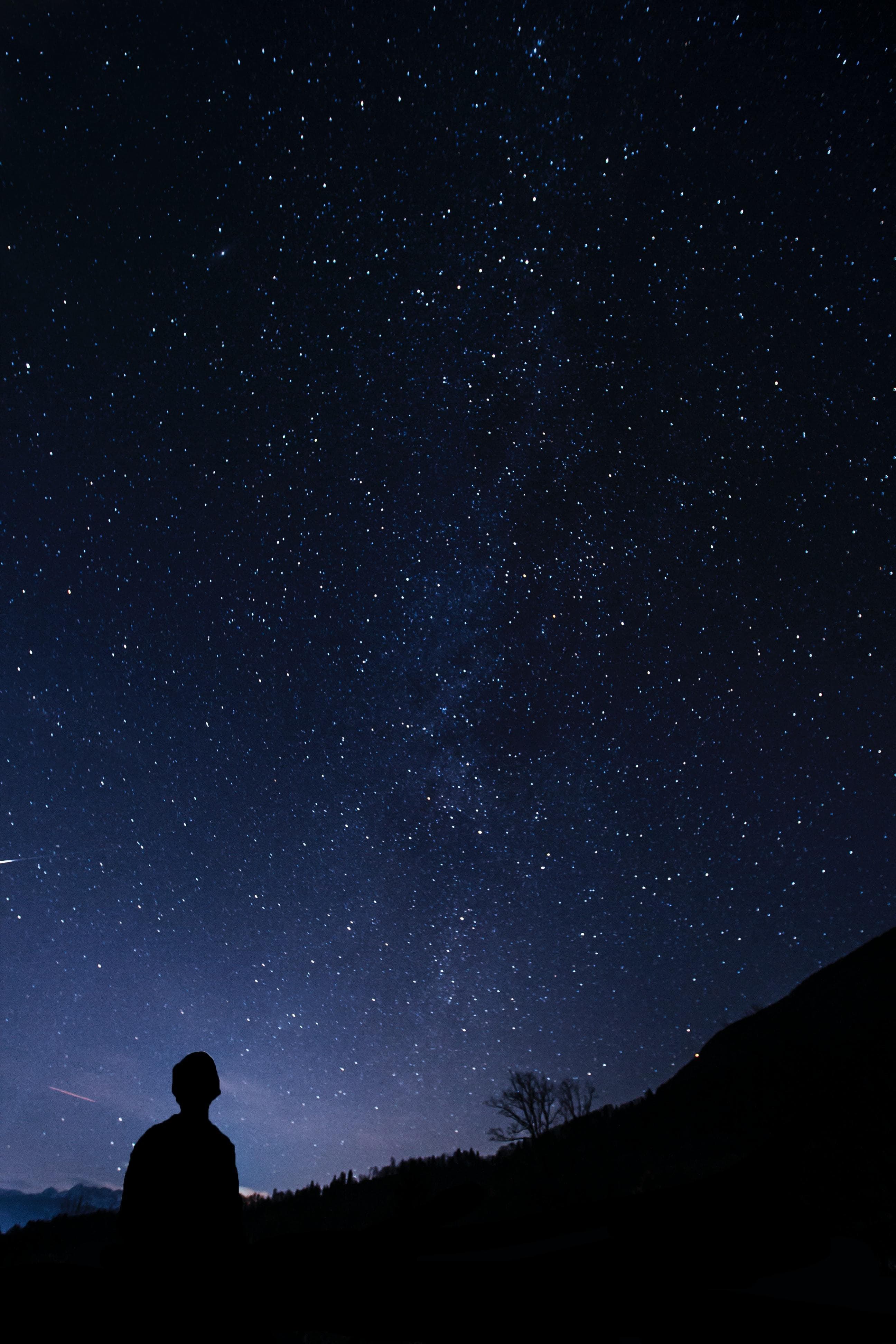 A starlight sky reveals only the silhoutte of a person looking up at the night sky