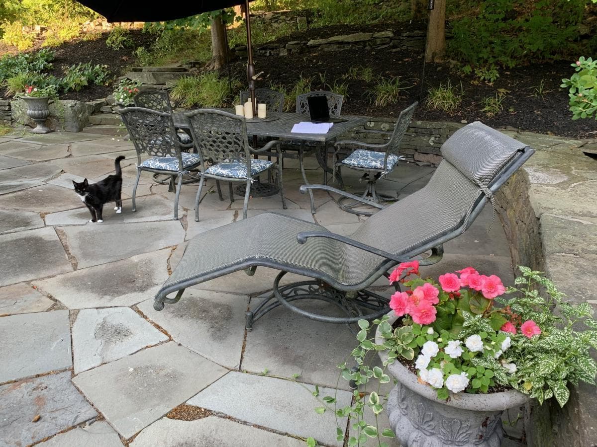Jennifer's black cat, with white paws stands on her outdoor patio where there is a table, a lounge chair and a pot of pink and white flowers