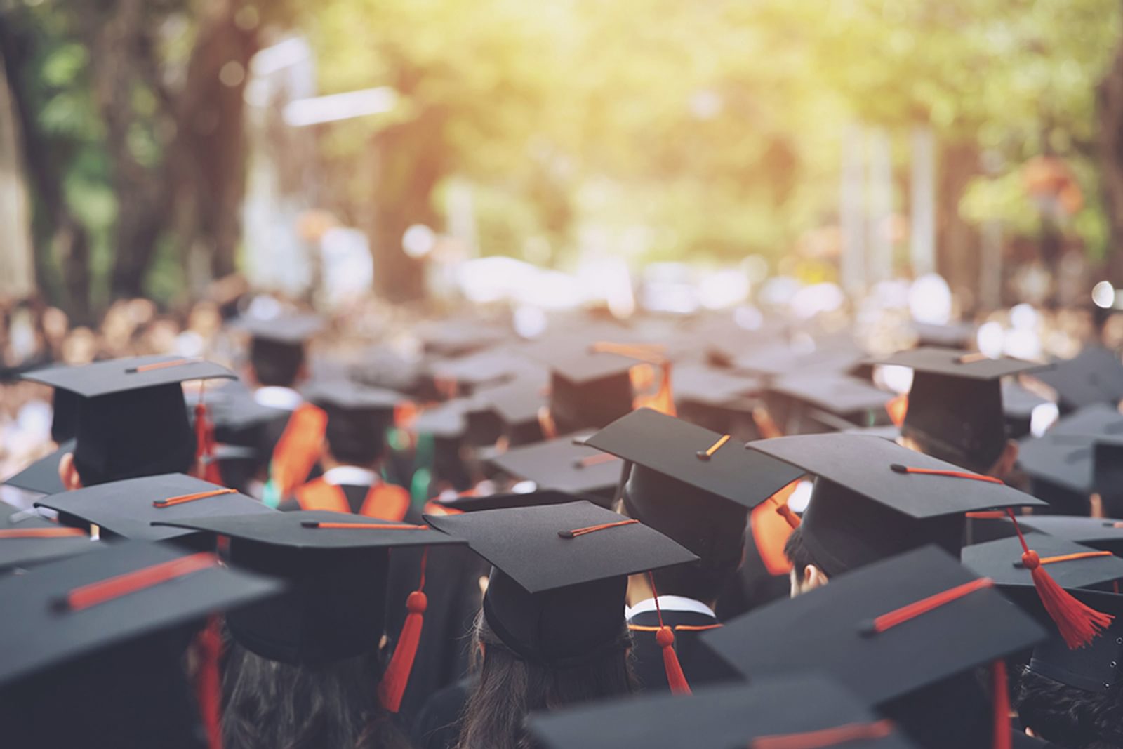 Tops of numerous black university graduate caps on a college campus