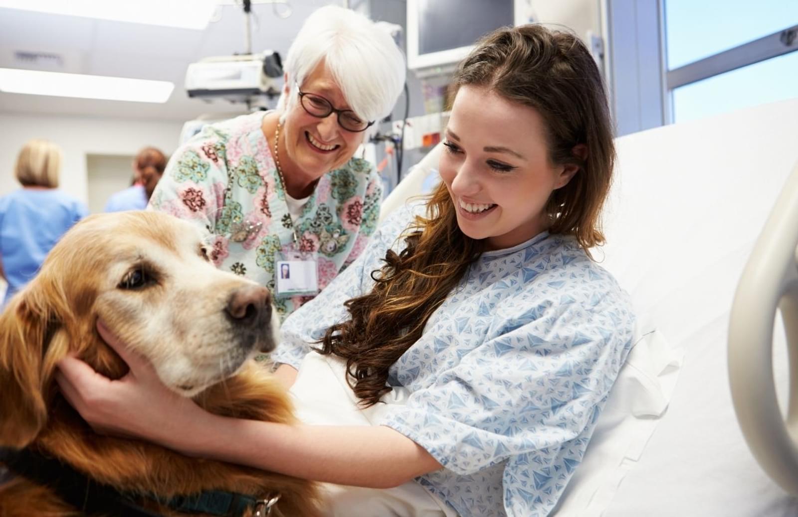 Older volunteer and therapy dog visit young woman in hospital bed